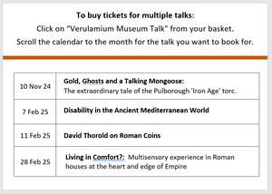 Verulamium Museum Talk